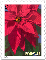 USPS Poinsettia Forever Stamp 2014
